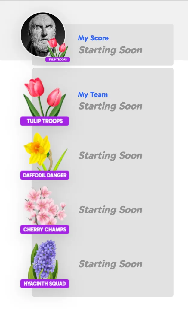 Flower Frenzy Teams